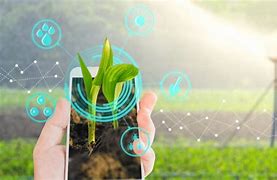 Green Tech Revolution: Eco-Friendly Innovations Saving the Planet